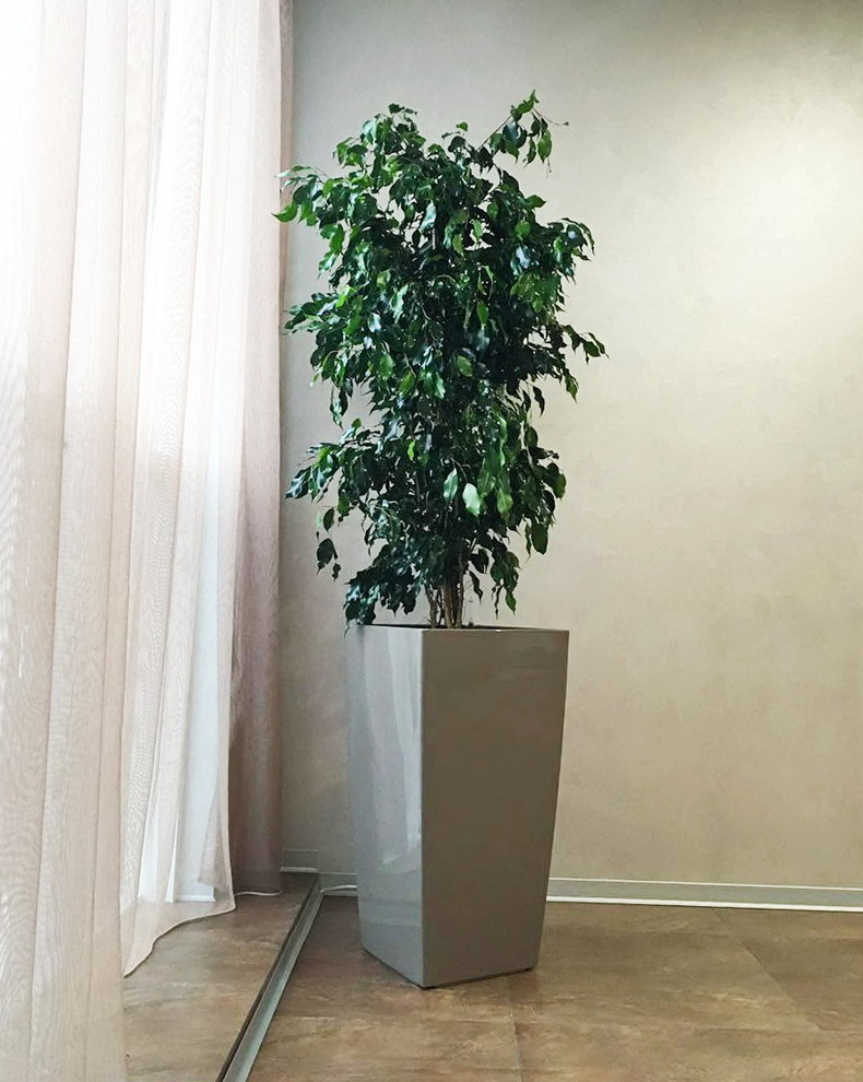 Озеленение частных квартир