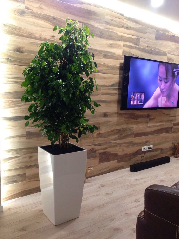 Озеленение частных квартир