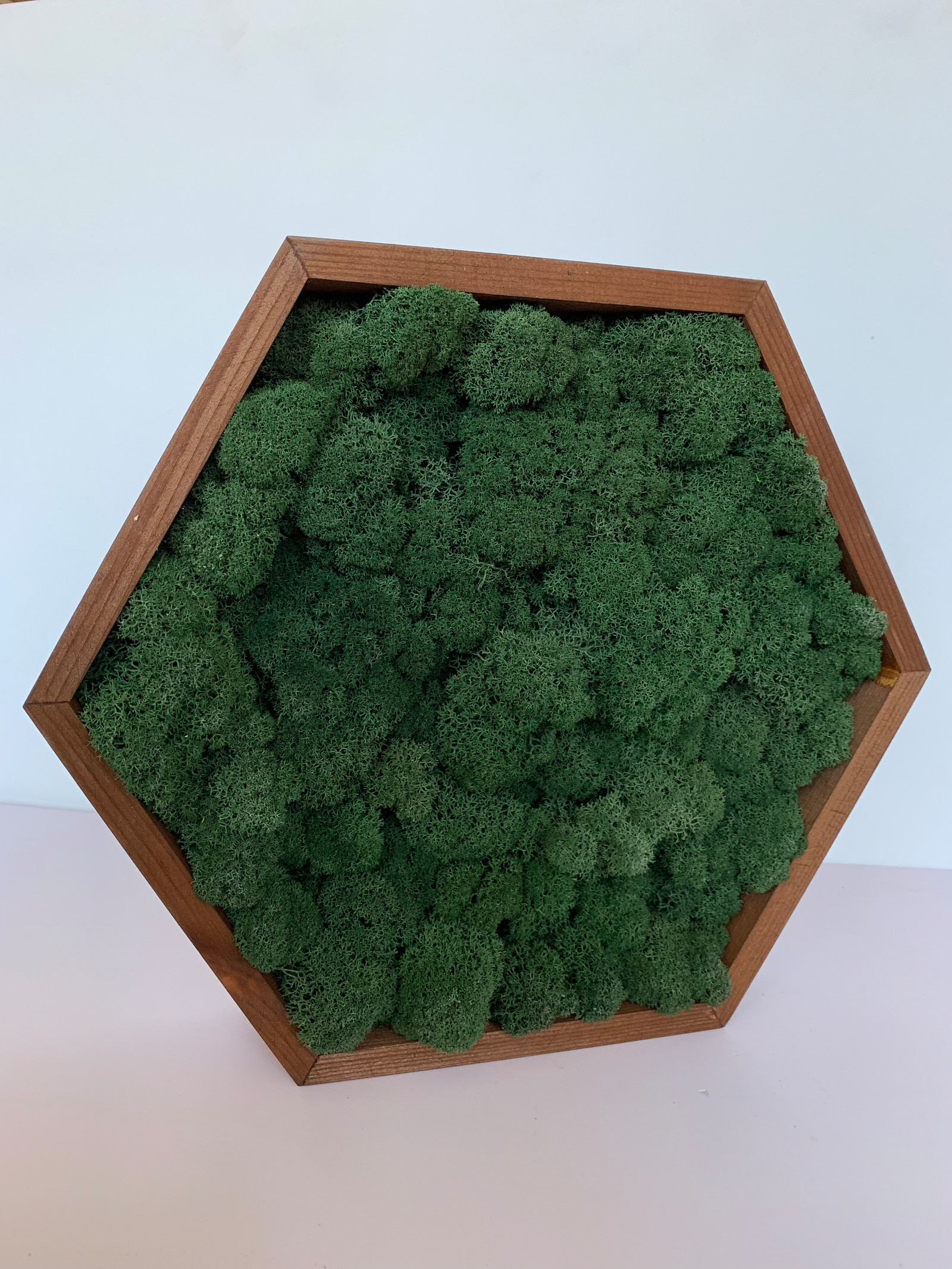 Панно из стабилизированного мха Ягеля и кочек