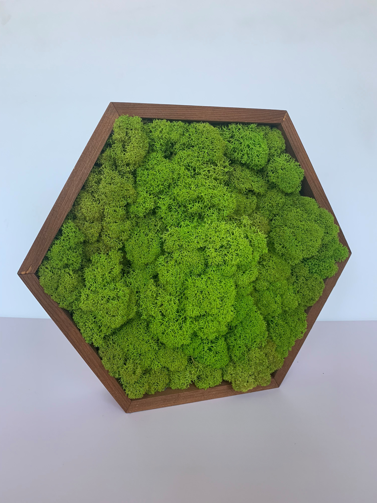 Панно из стабилизированного мха Ягеля и кочек