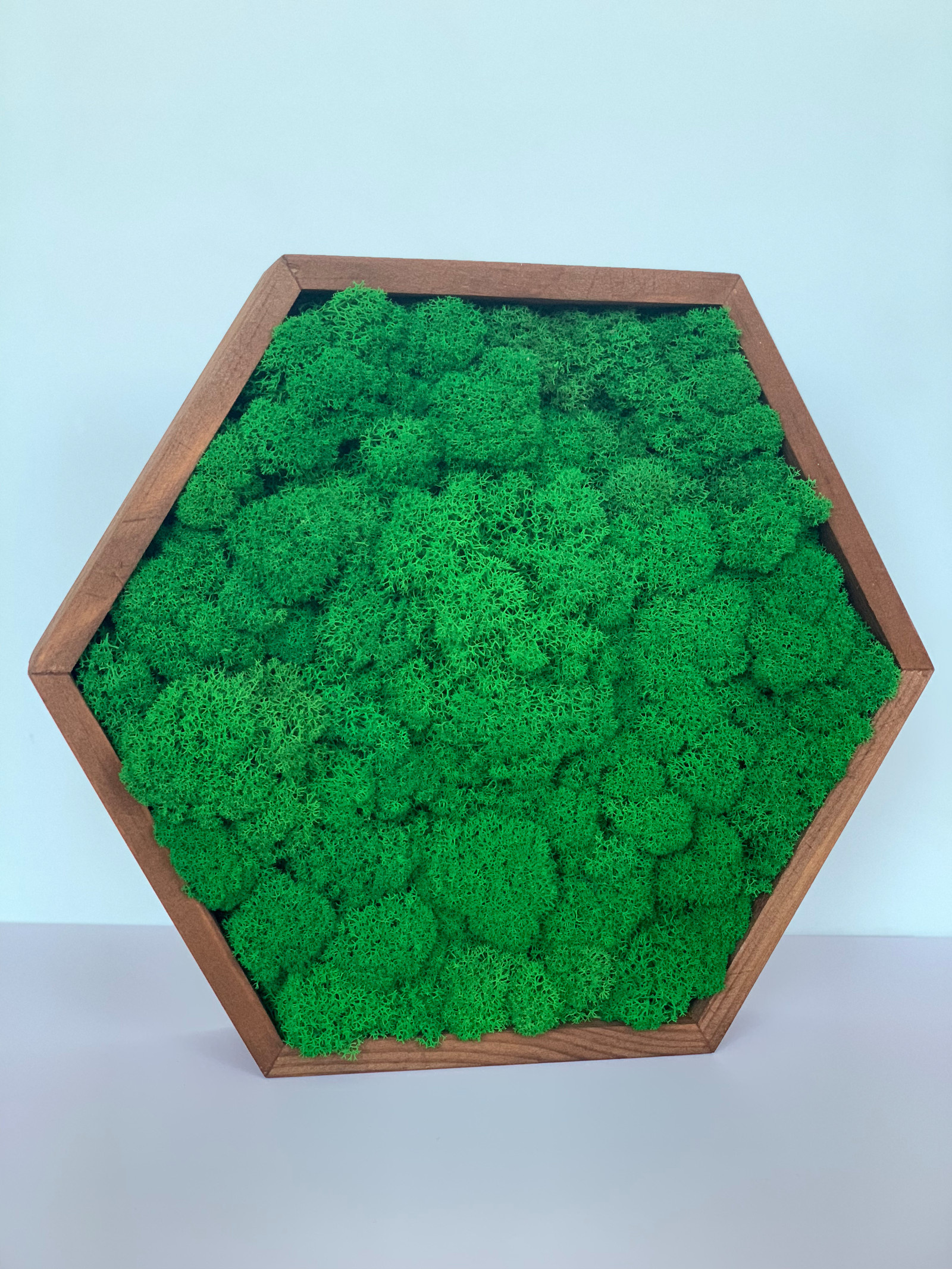 Панно из стабилизированного мха Ягеля и кочек