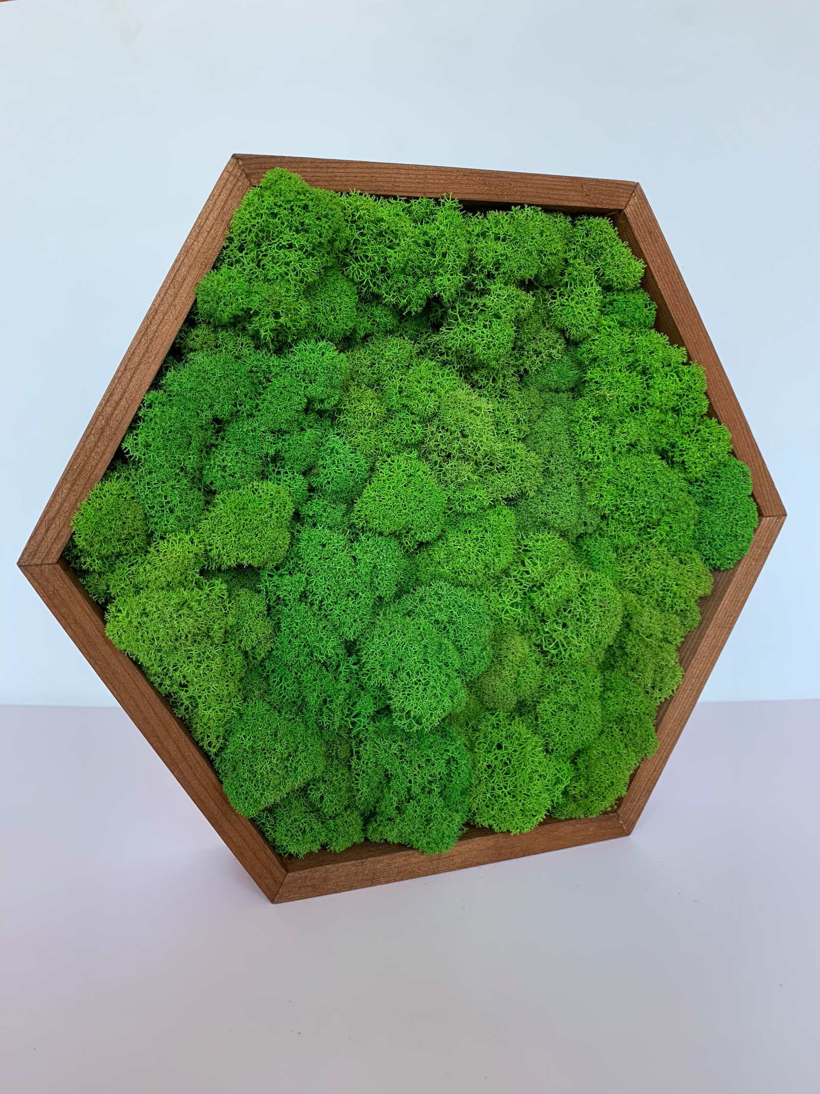 Панно из стабилизированного мха Ягеля и кочек