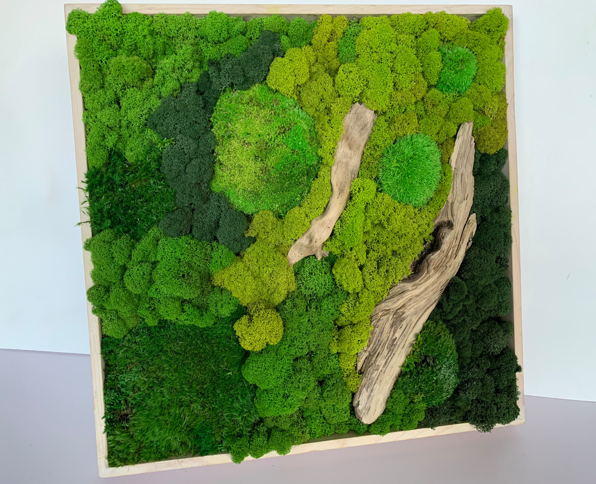 Панно из стабилизированного мха Ягеля и кочек