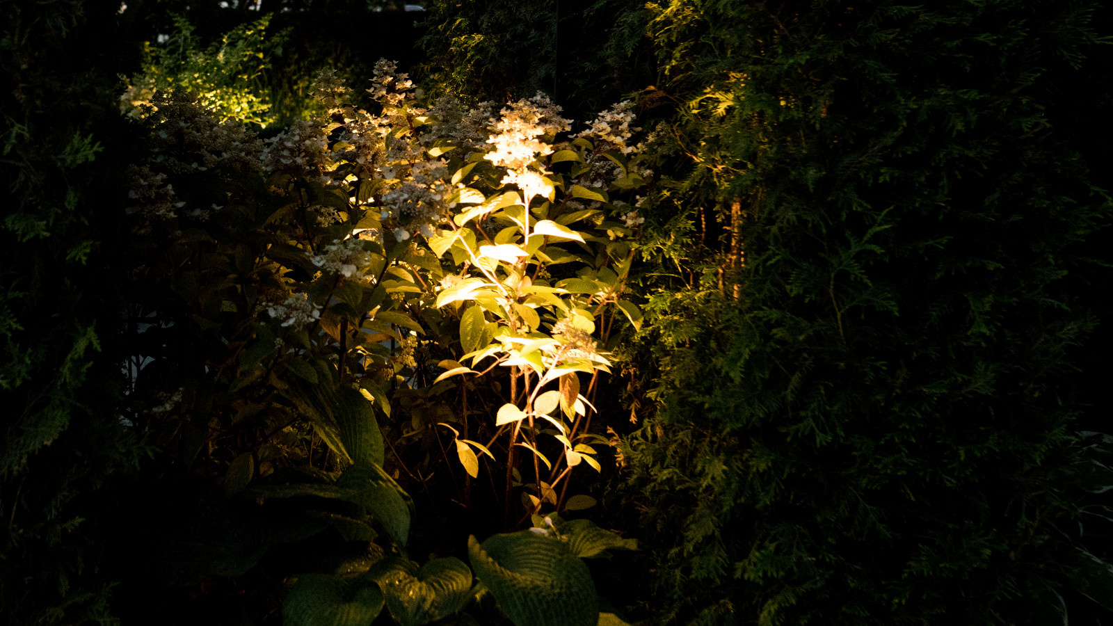 Выставочный сад "Тайны соблазна"