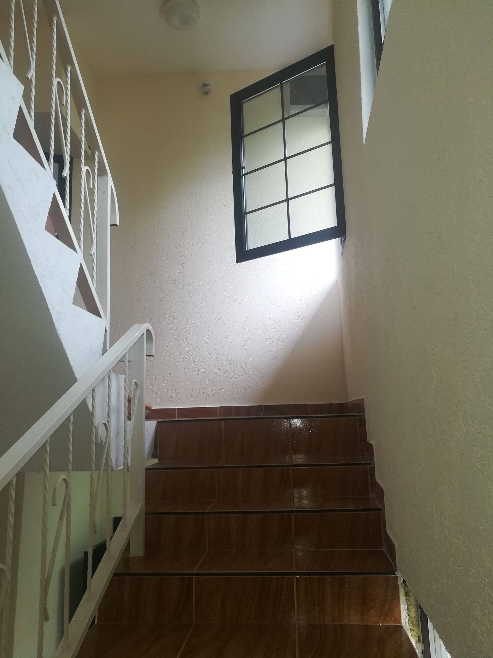 Гостиница г.Адлер