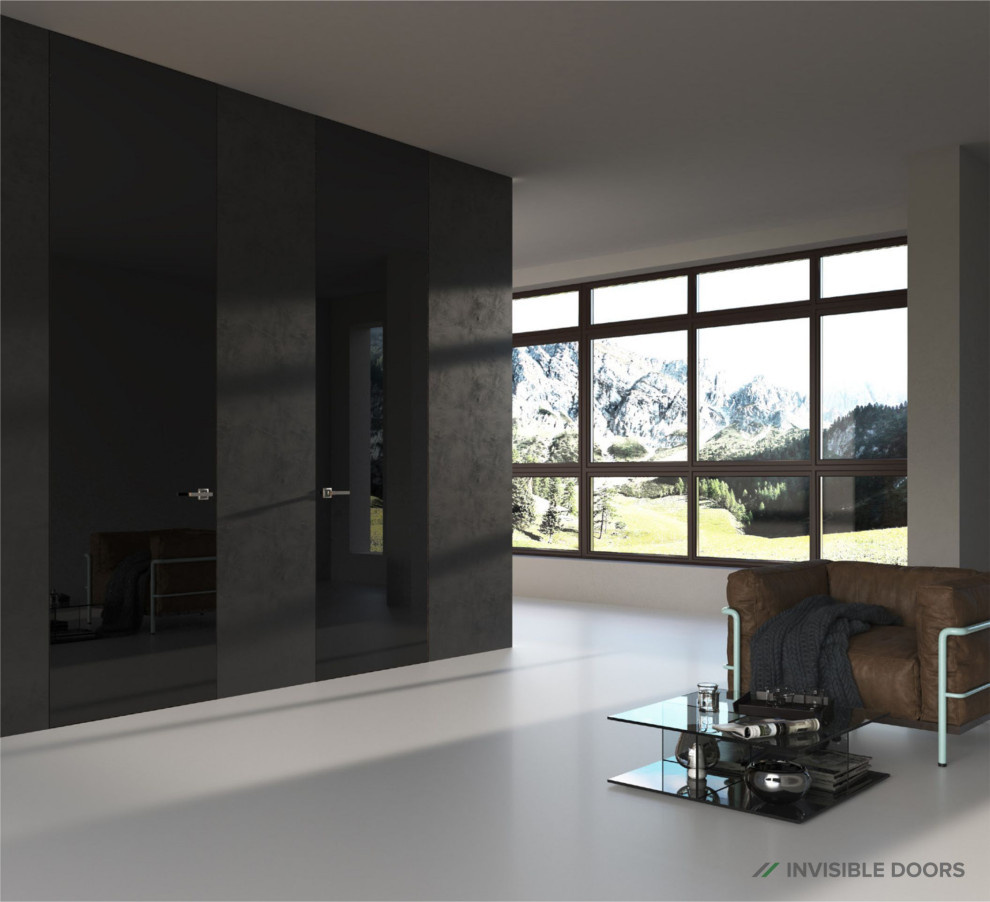 Система Инвизибл