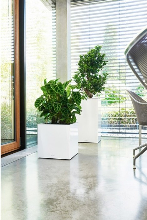 Новое в глянце!