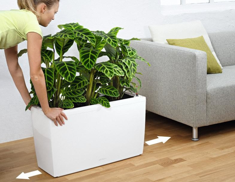 На вершине моды!