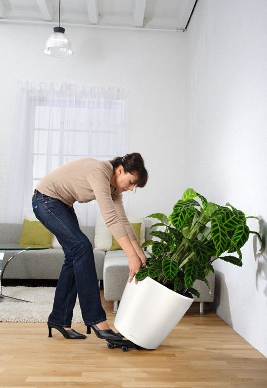 Неподвласные времени