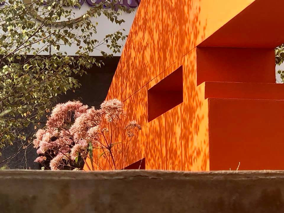 Выше крыши. Цветочный джем