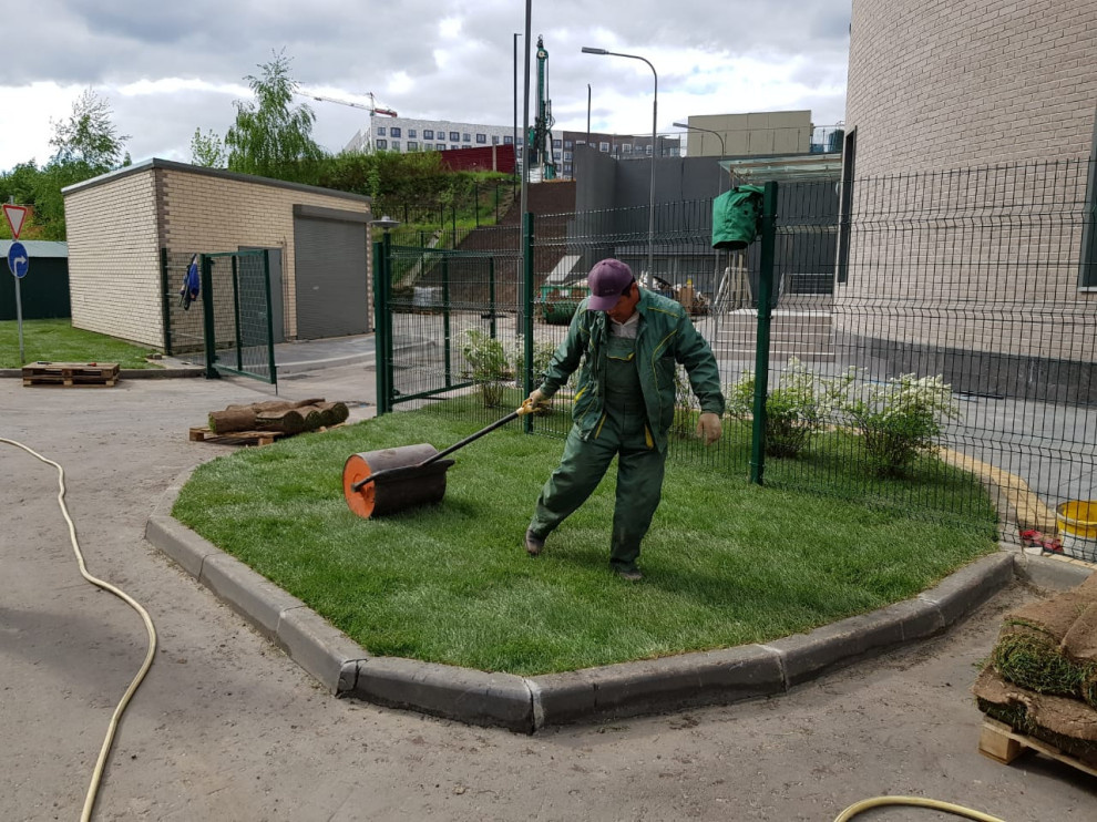 Укладка газона