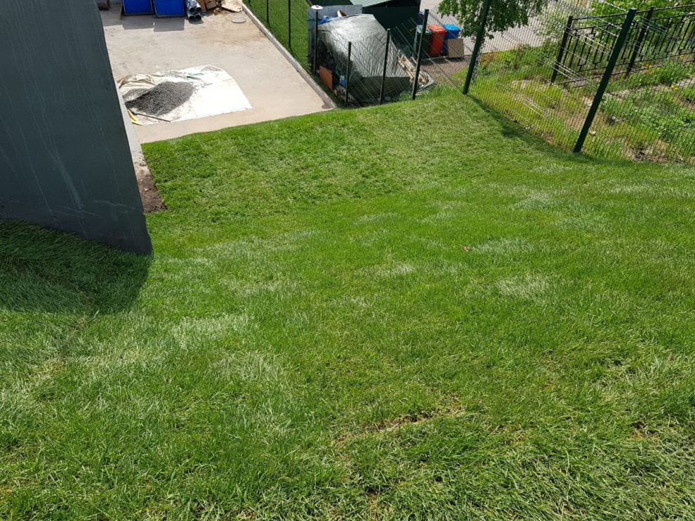 Укладка газона