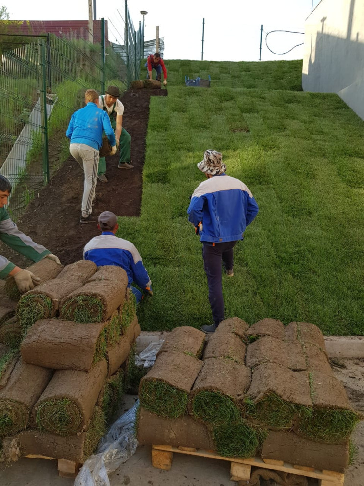 Укладка газона