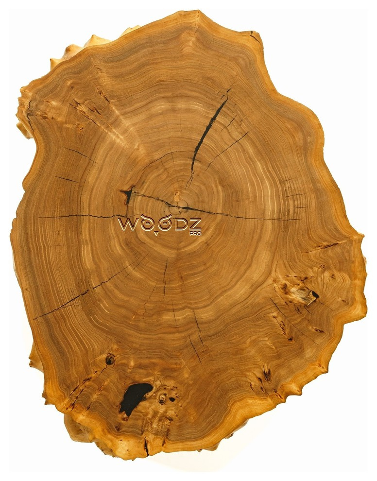 Model 120