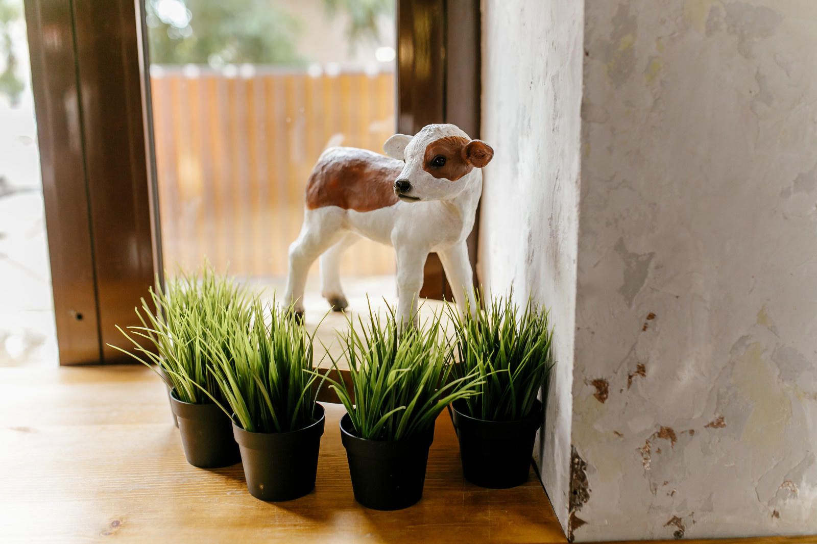 Сыроварня МОО