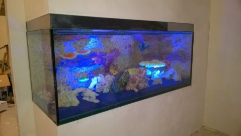 Аквариумы