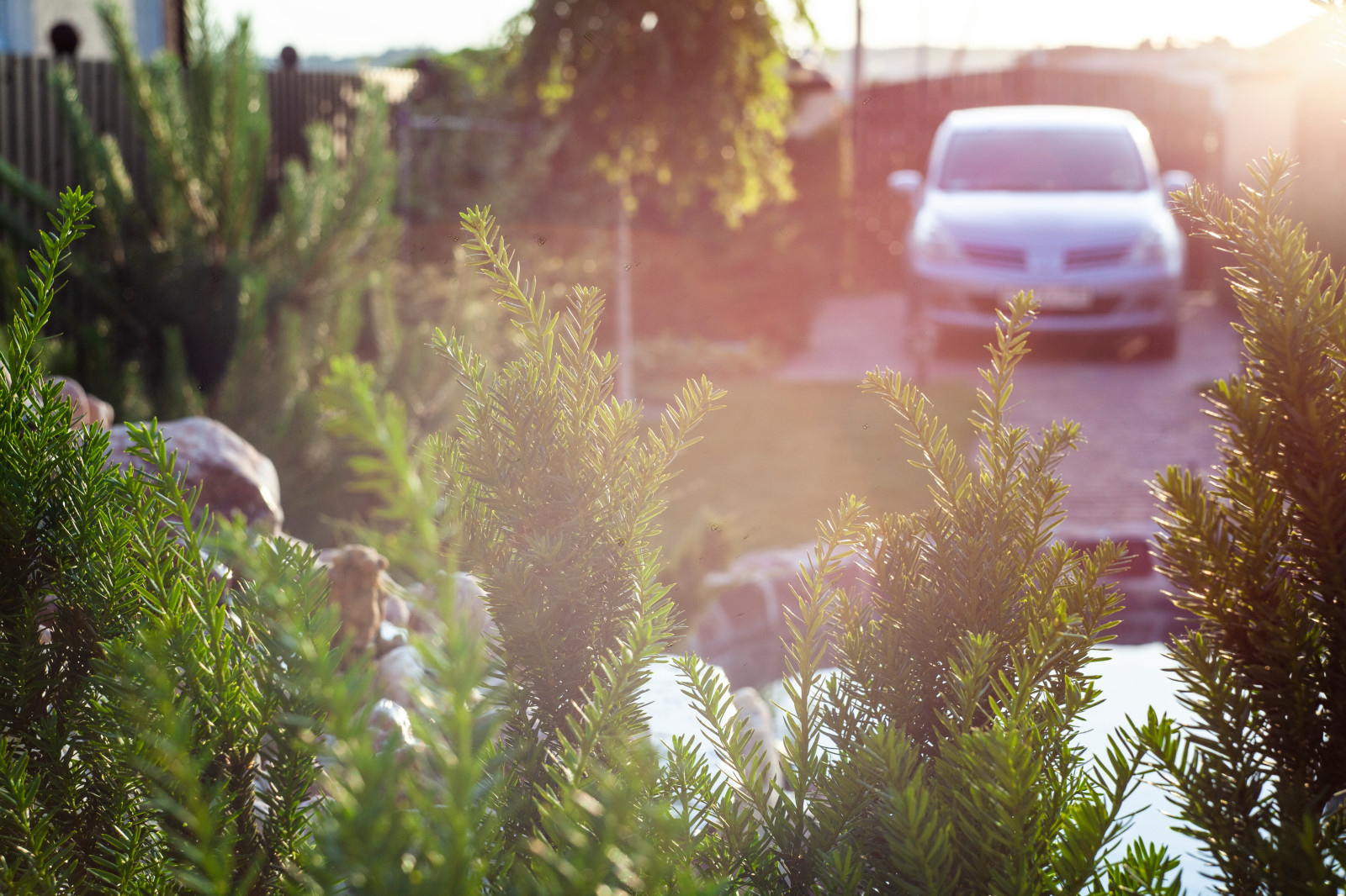Ландшафтный дизайн в Новороссийске
