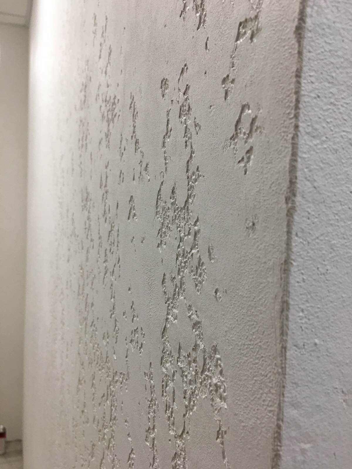 ЦЭНКИ (филиал РОСКОСМОСа)