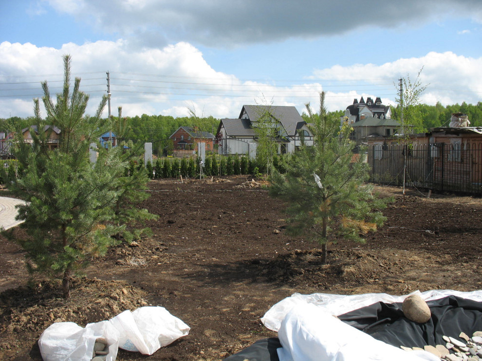 Проект в Новоспасское