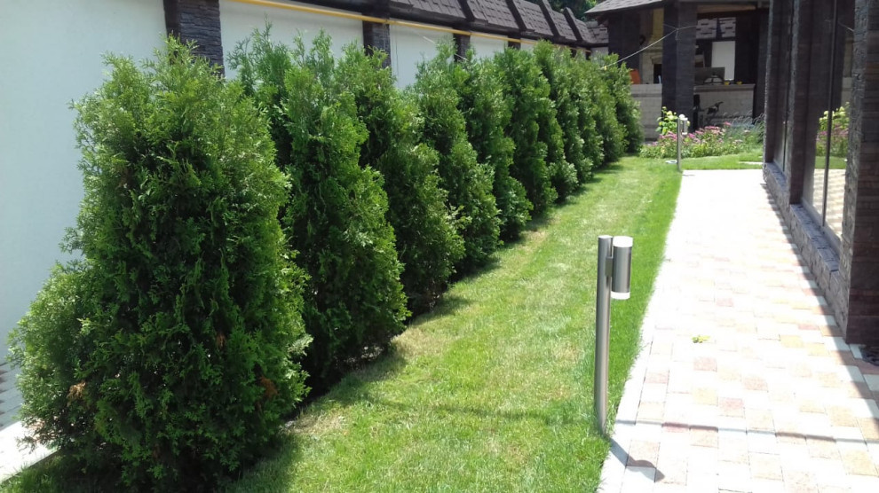 Работы выполнены в с.Южная Озереевка