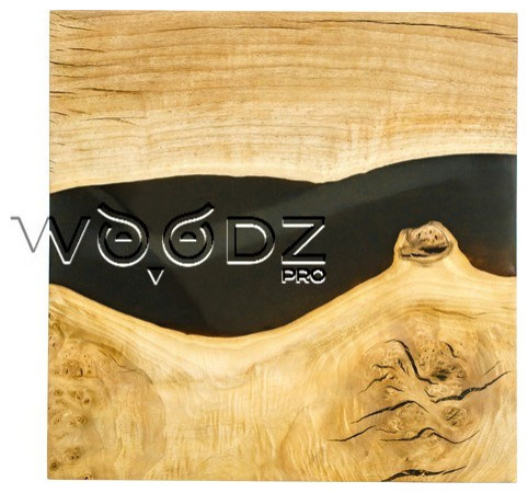 Model 210