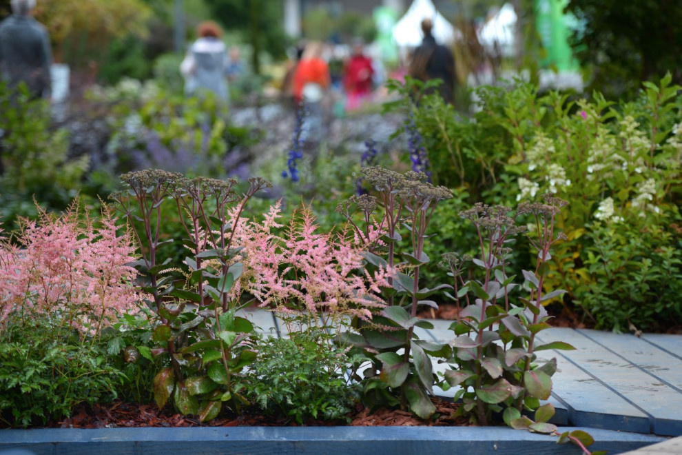 Декорации Метерлинка. Авторы Принтц Мария и Береснева Марина