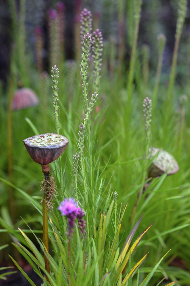 Декорации Метерлинка. Авторы Принтц Мария и Береснева Марина