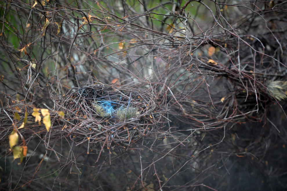 Декорации Метерлинка. Авторы Принтц Мария и Береснева Марина