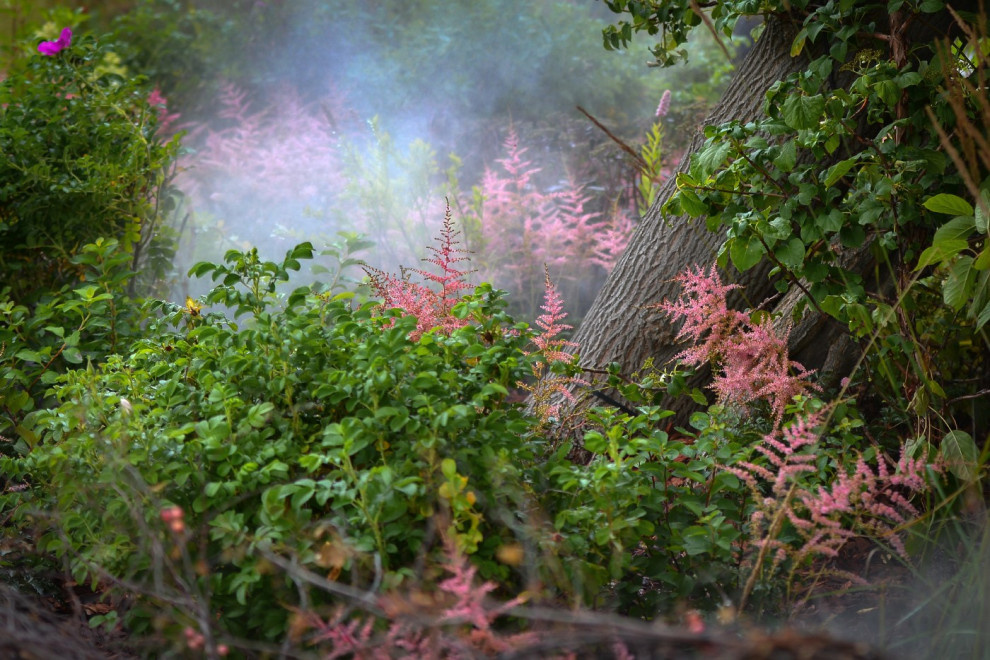 Проект недели: Сад «Декорации Метерлинка» на выставке в Москве