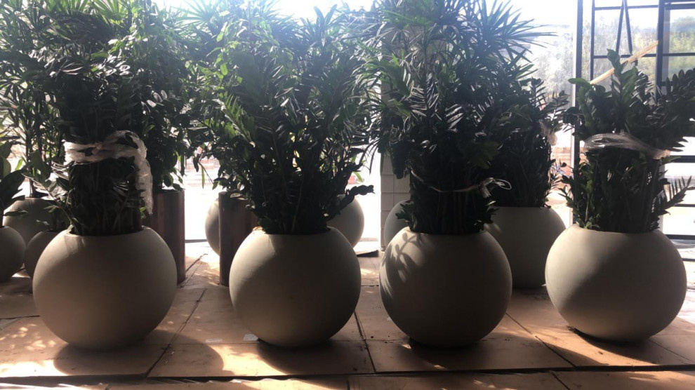 Вазоны шары