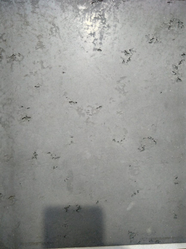 Декоративна штукатурка