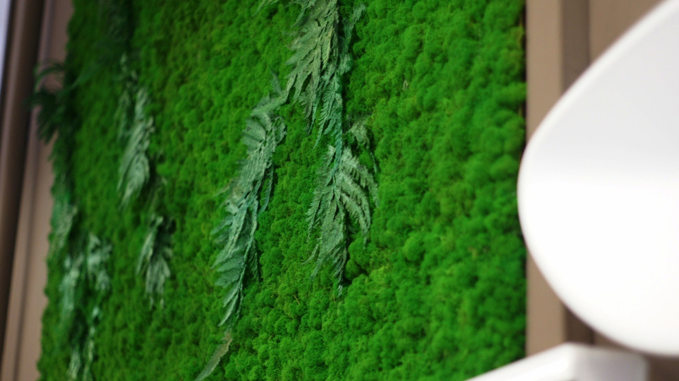 Фитостена из стабилизированного мха.