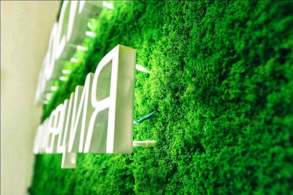 Фитостены с экологотипами