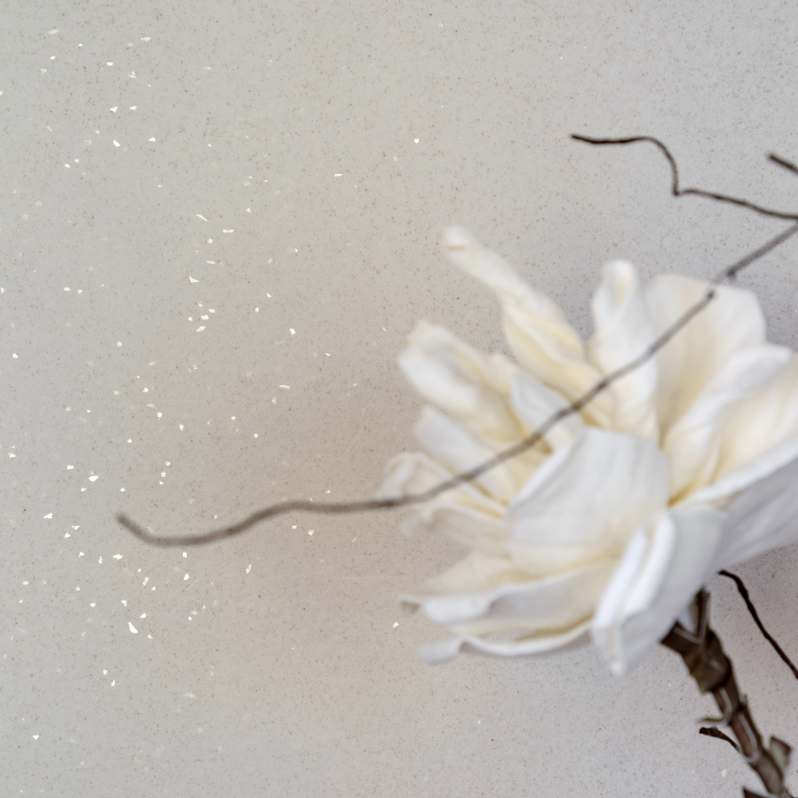 Интерьер в Milk House