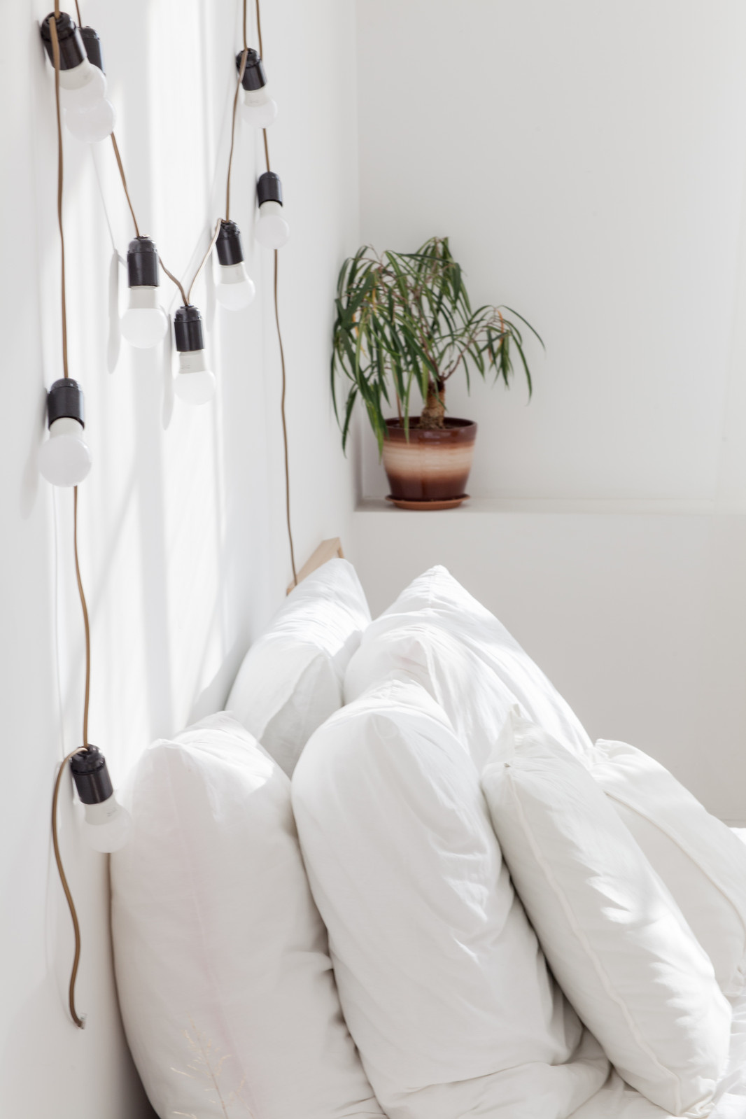 Фотостудия - Две комнаты