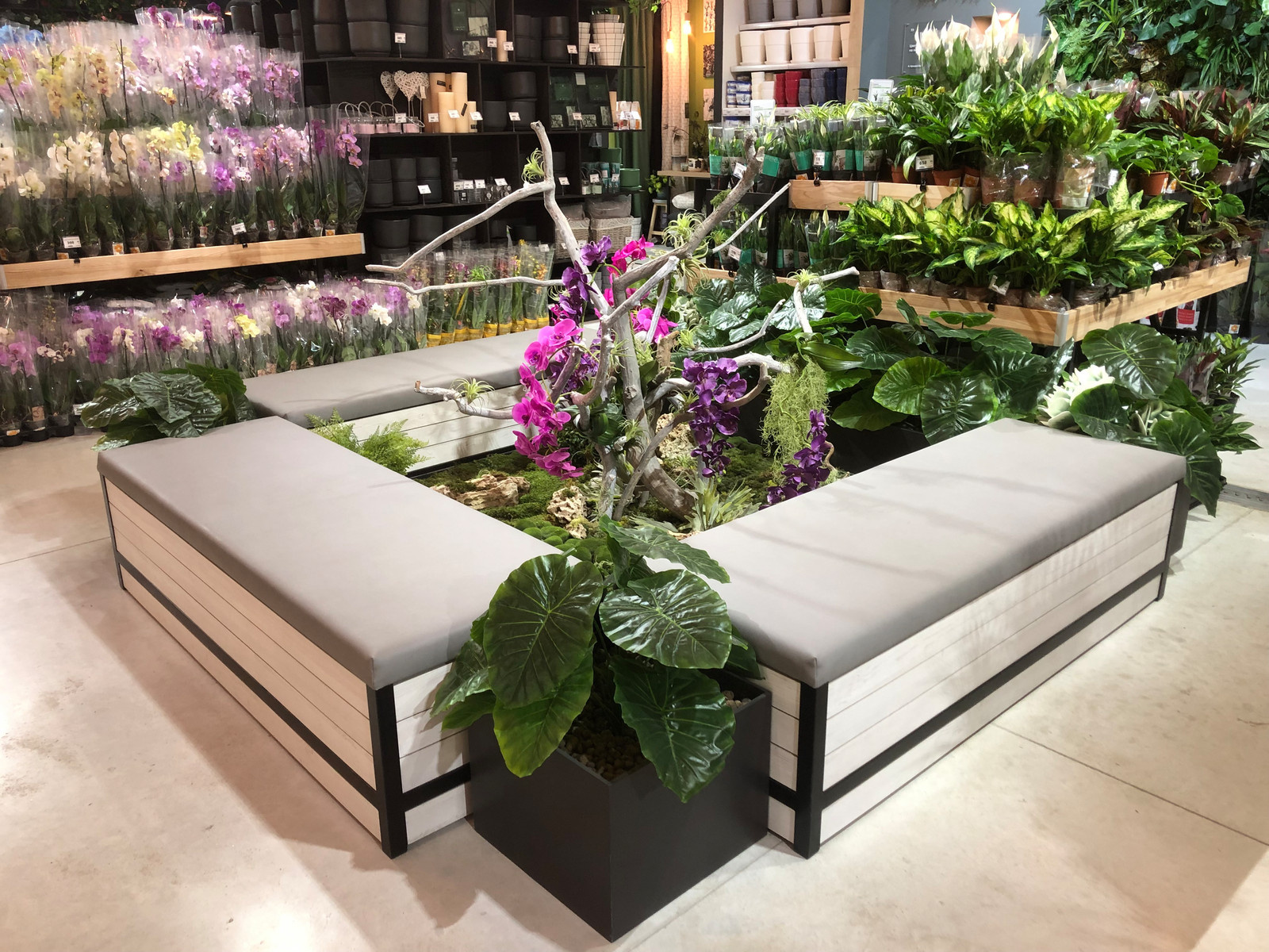 Оранжрея Леруа Мерлен ЗИЛ