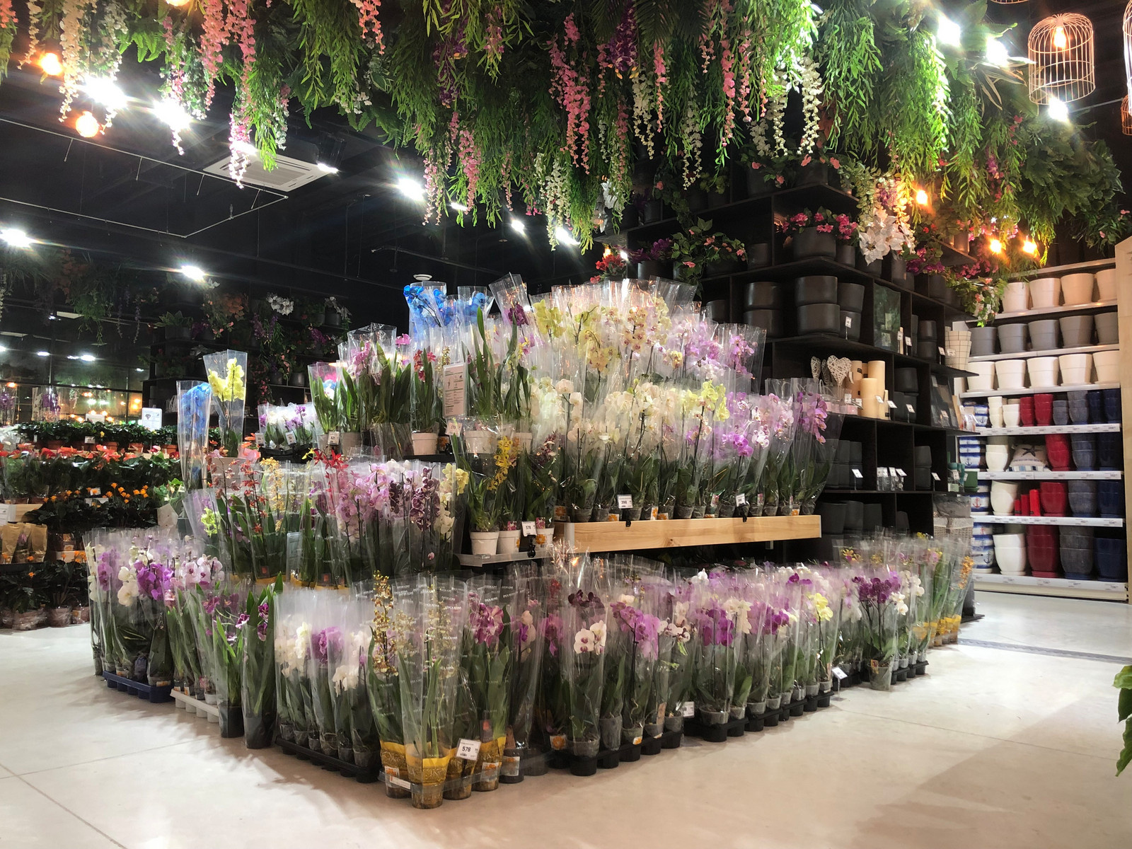 Оранжрея Леруа Мерлен ЗИЛ