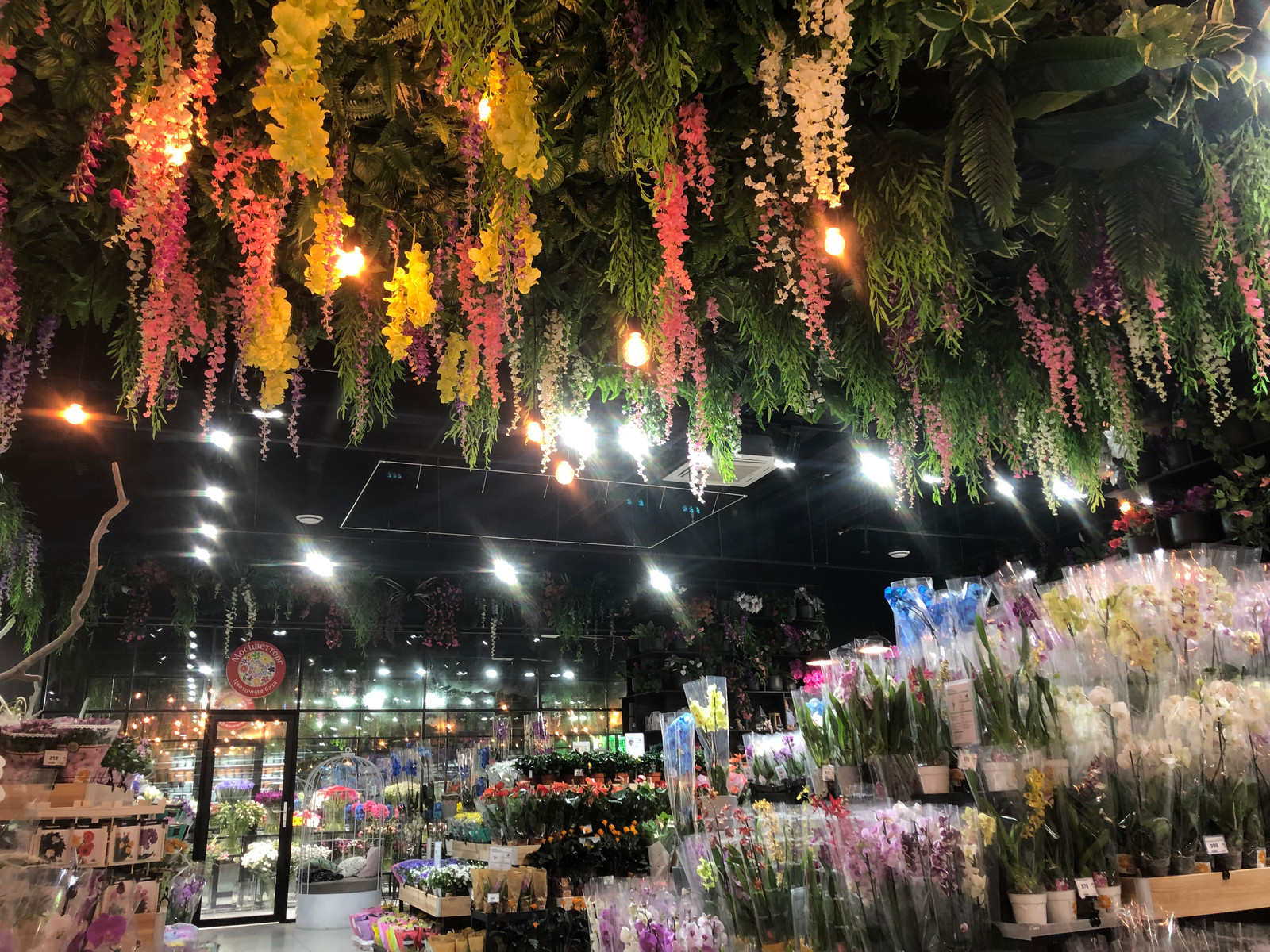 Оранжрея Леруа Мерлен ЗИЛ