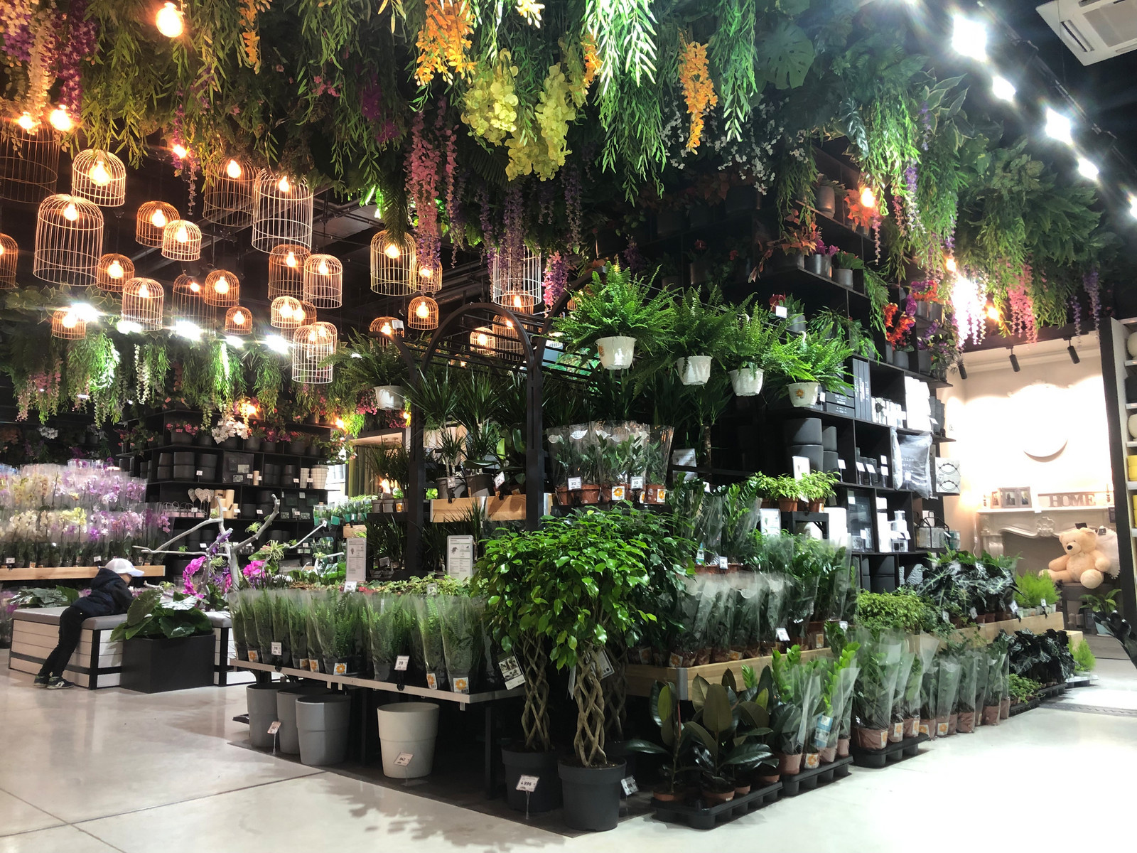 Оранжрея Леруа Мерлен ЗИЛ