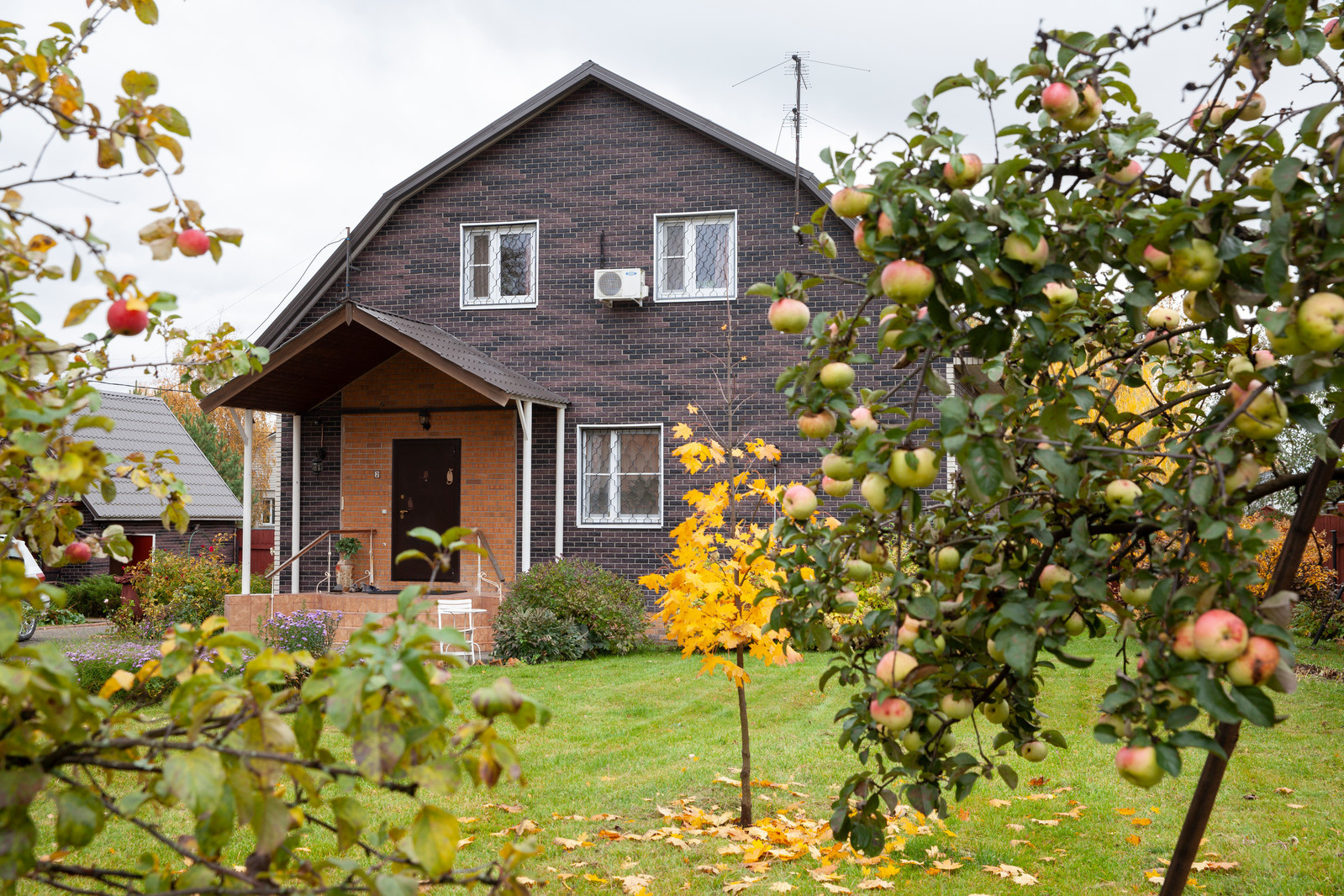 В гостях: Дача