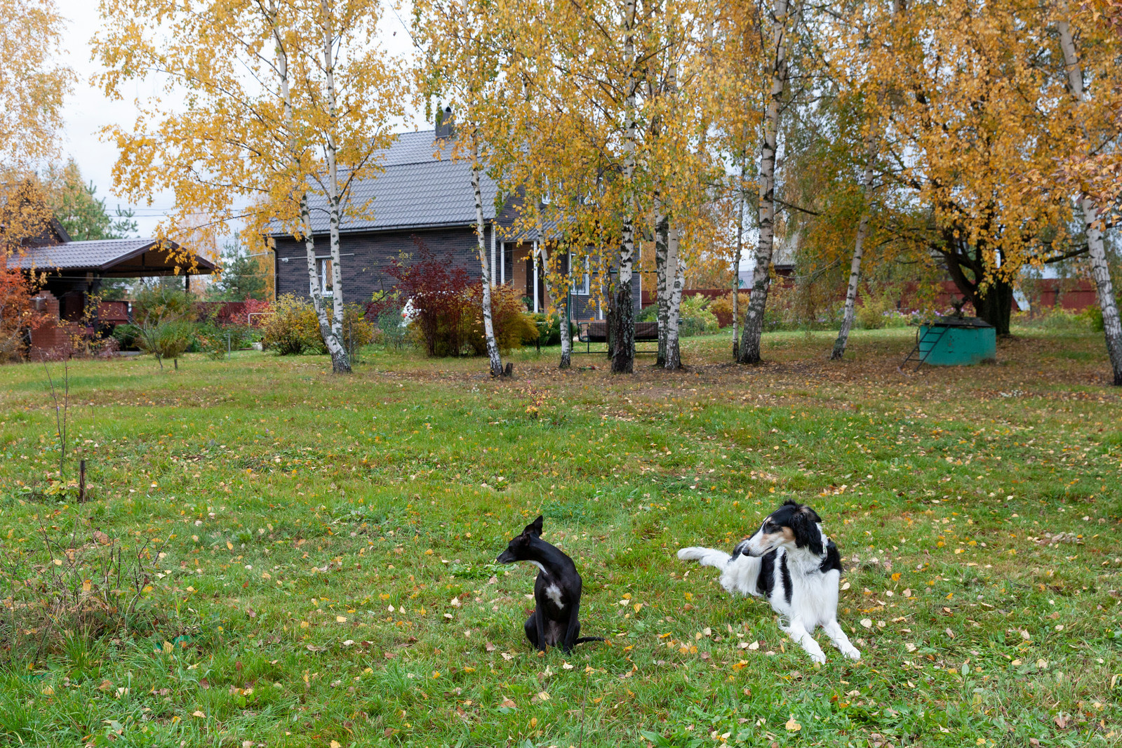В гостях: Дача
