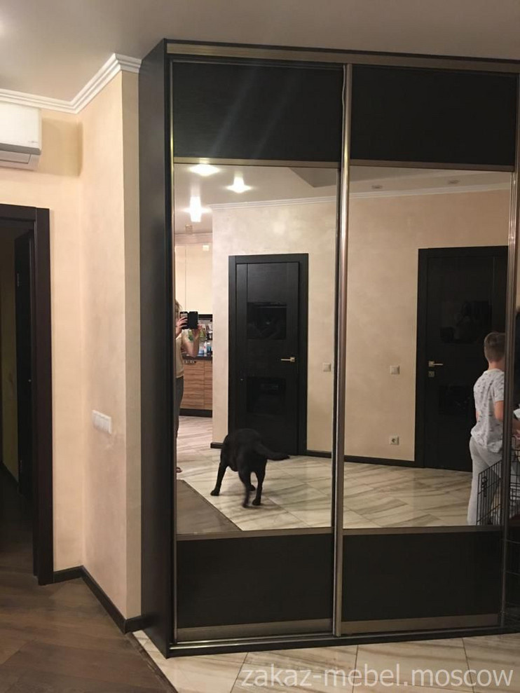 Шкафы, гардеробные, прихожие и т.д.