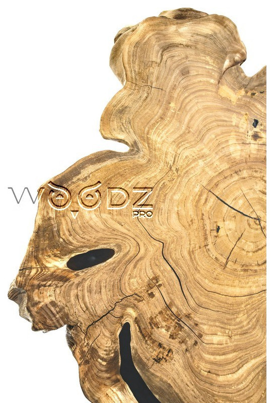 Model 2703