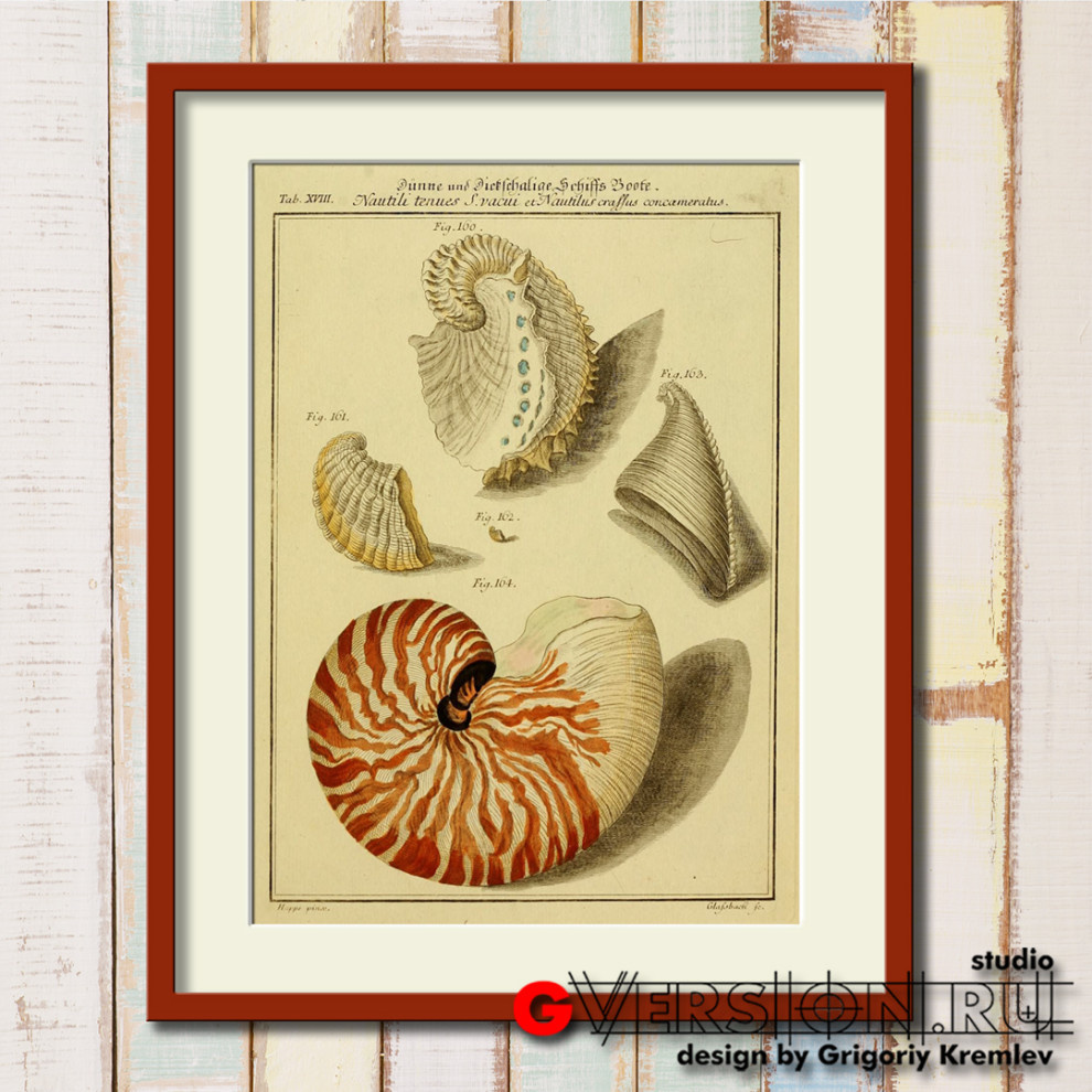 Примеры работ