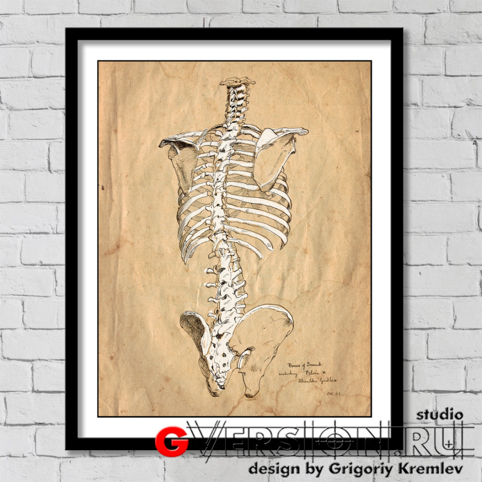 Примеры работ