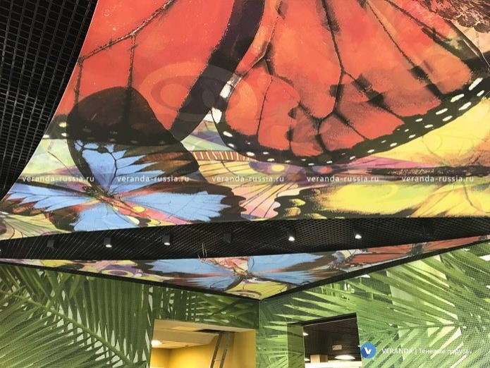 Дизайн потолка: необычная декоративная конструкция из натяжных парусов