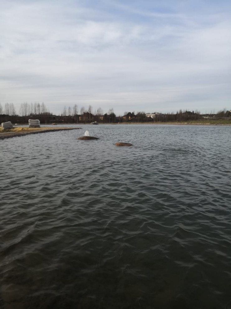 Декоративный водоём в п. Репино (Лен. обл.)