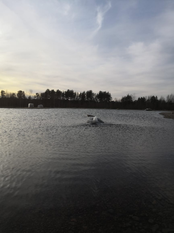Декоративный водоём в п. Репино (Лен. обл.)