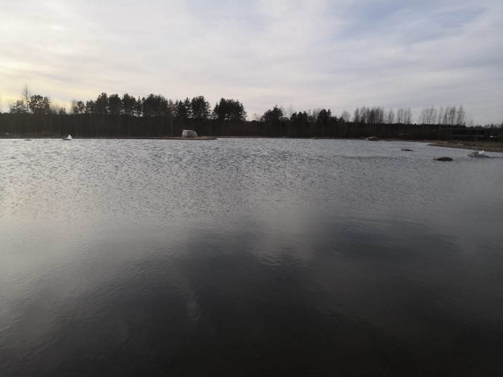 Декоративный водоём в п. Репино (Лен. обл.)