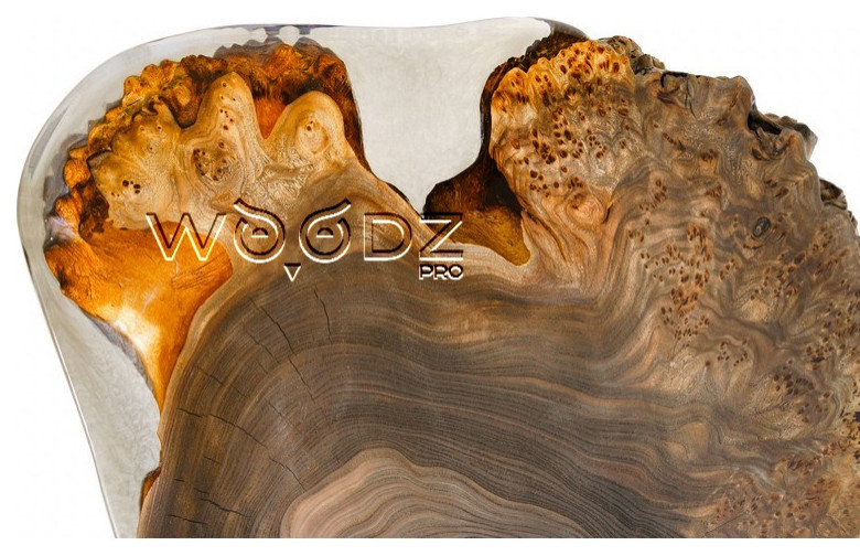Model 2697